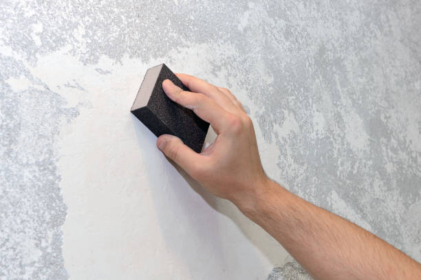 Best Mold Odor Removal Services  in Edgewater, CO