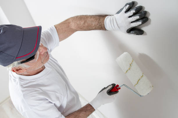  Edgewater, CO Mold Removal Pros