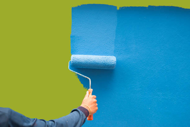 Best Forensic Mold Investigation  in Edgewater, CO
