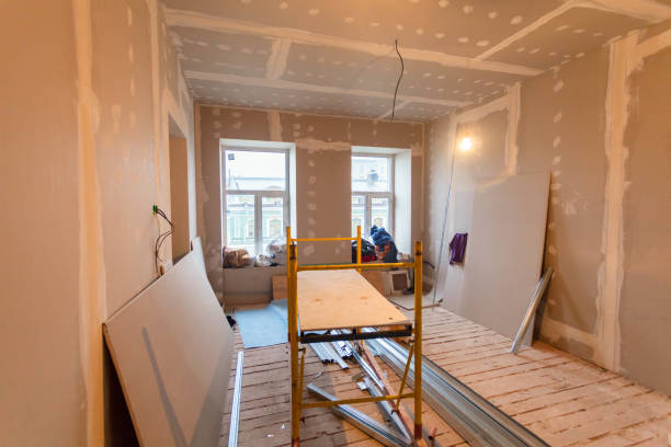 Best Crawl Space Mold Remediation  in Edgewater, CO