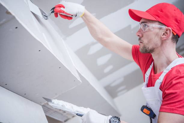 Best Real Estate Mold Inspection  in Edgewater, CO